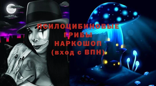СК Белокуриха
