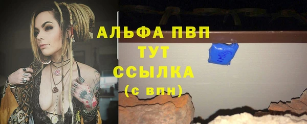 СК Белокуриха