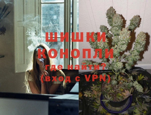 СК Белокуриха